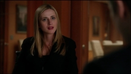 The Good Wife - Season 04 Episode 13